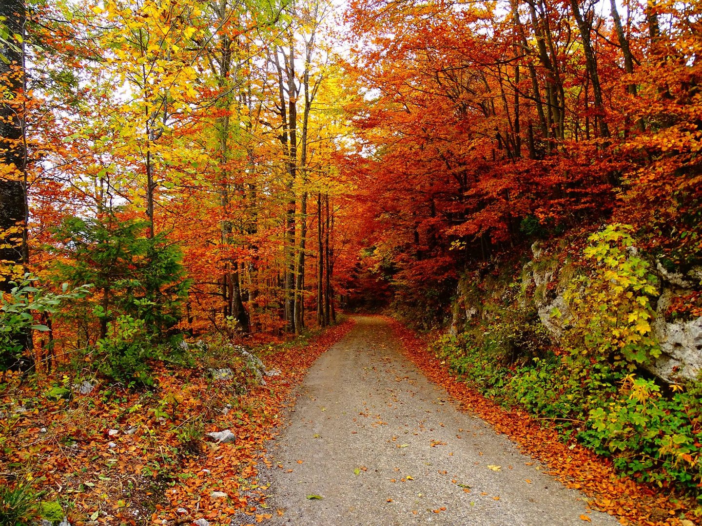 Herbstweg