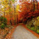 Herbstweg