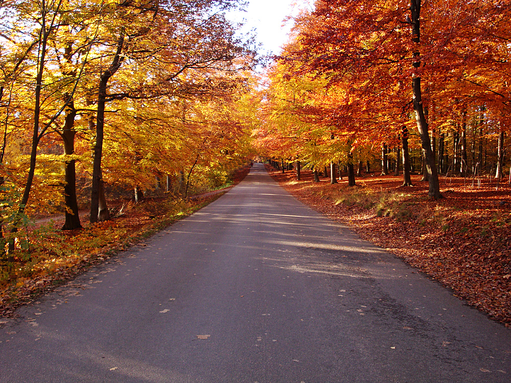 Herbstweg