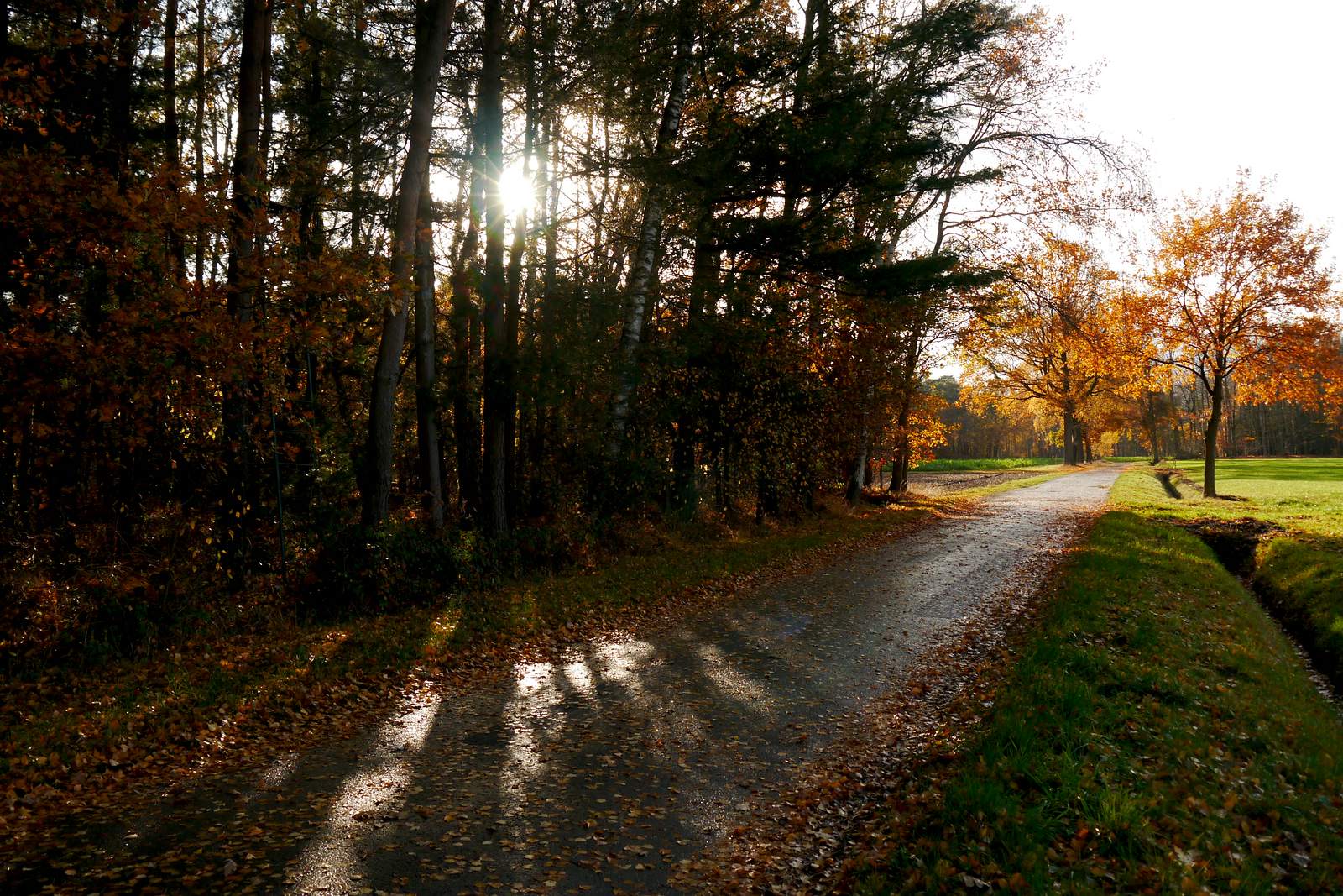 Herbstweg