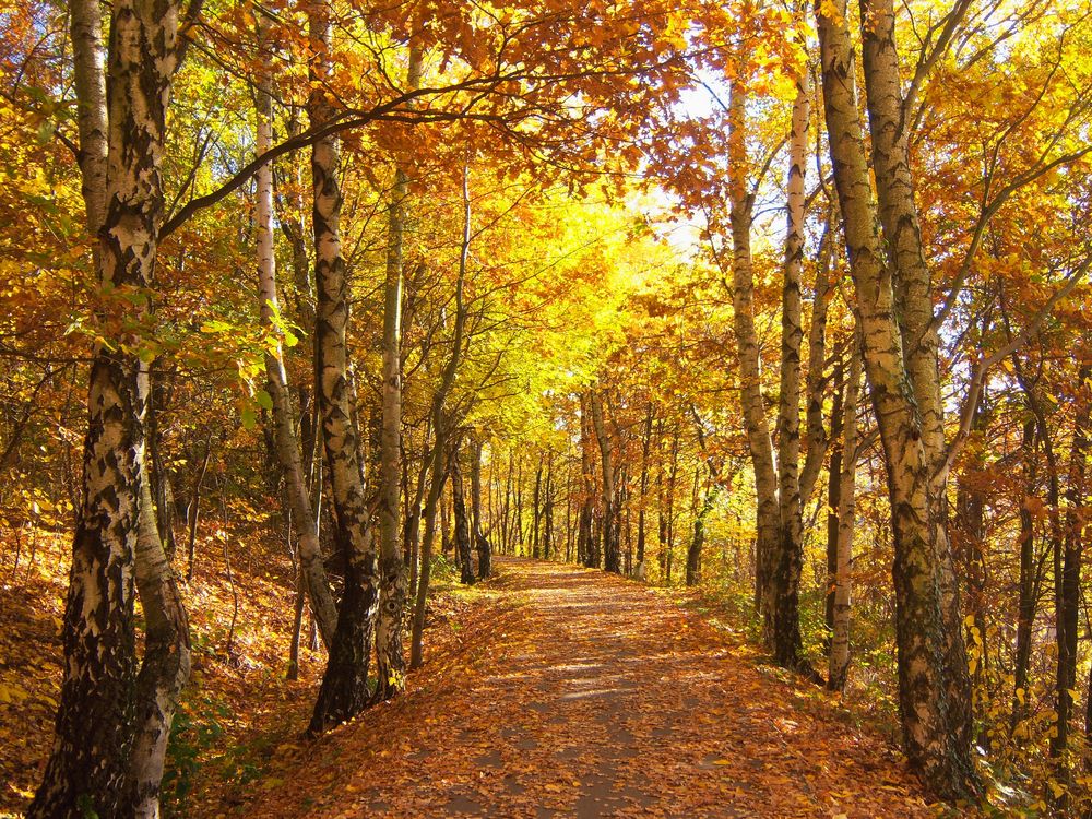 Herbstweg 2