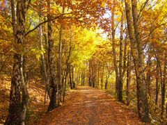 Herbstweg 2