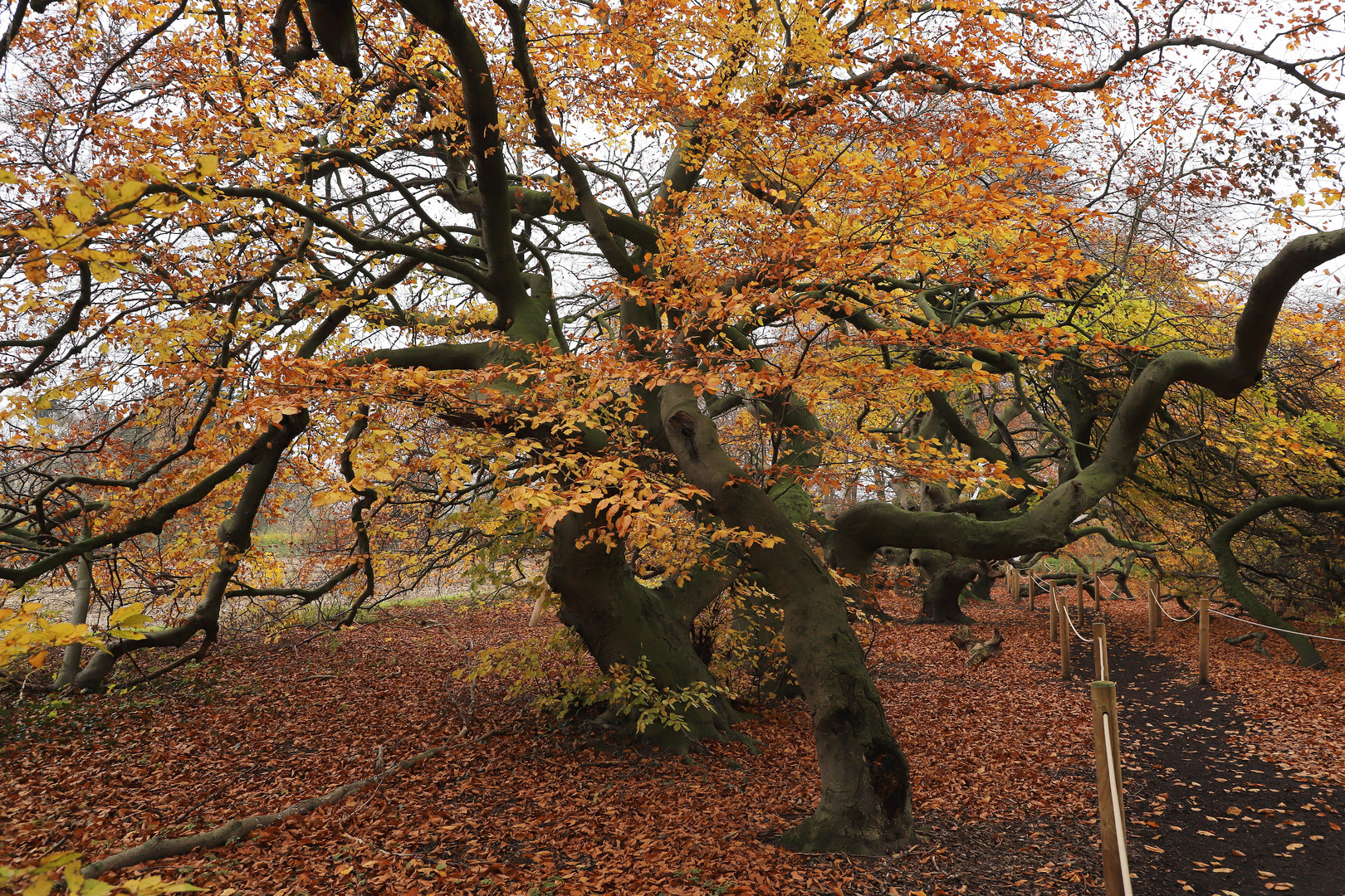 herbstweg 2