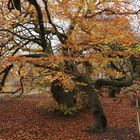 herbstweg 2