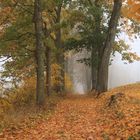 Herbstweg