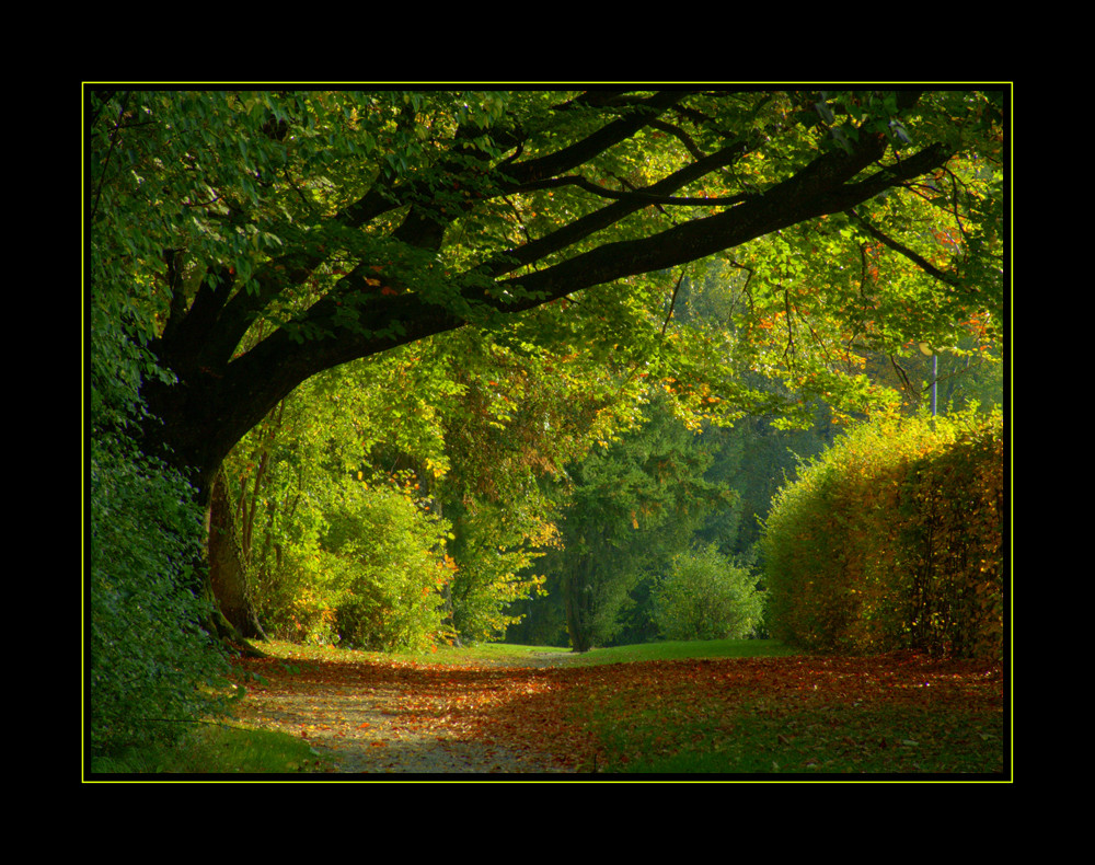 Herbstweg