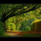 Herbstweg