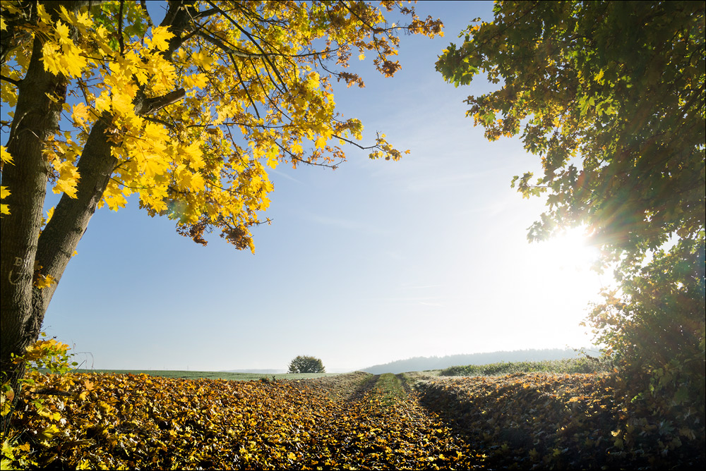 Herbstweg