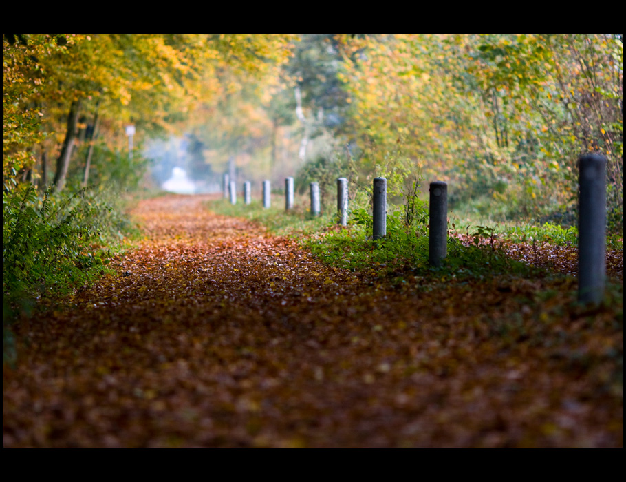 Herbstweg