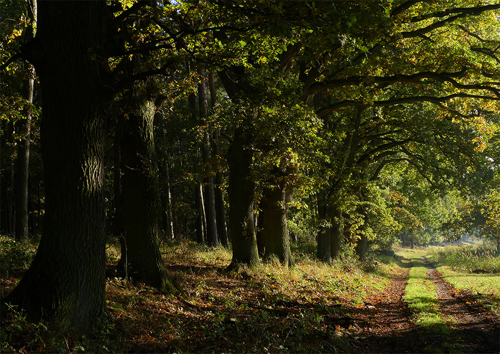 Herbstweg