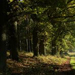 Herbstweg