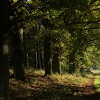 Herbstweg