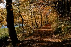 Herbstweg