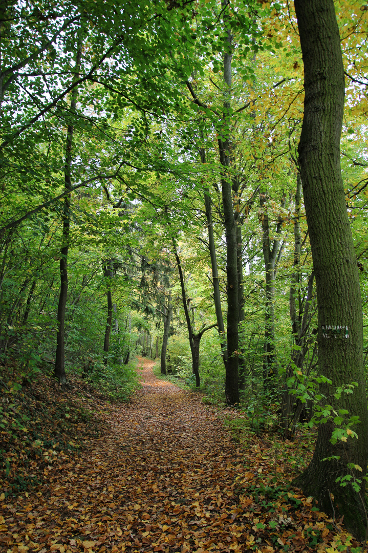  Herbstweg