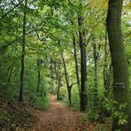  Herbstweg