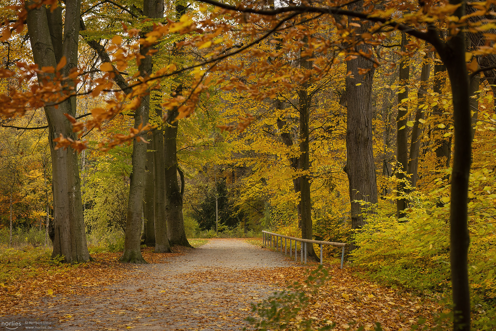 Herbstweg