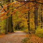 Herbstweg