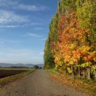 Herbstweg