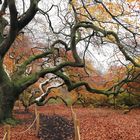 herbstweg 3