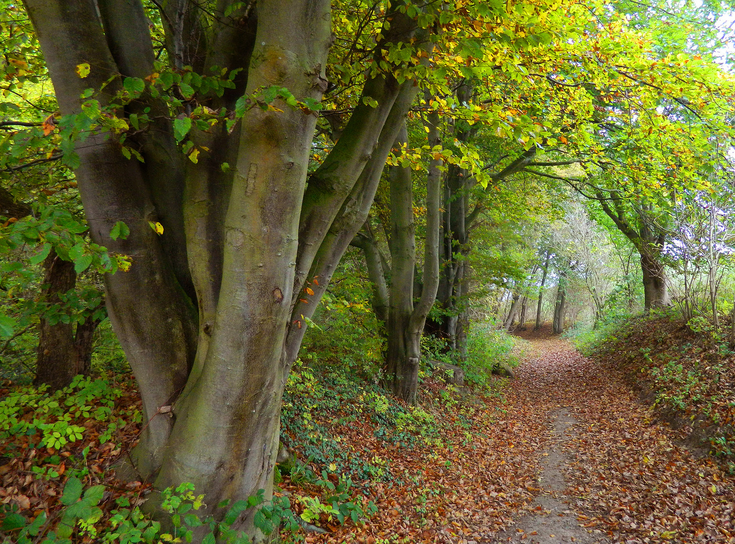 Herbstweg