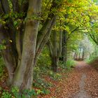 Herbstweg