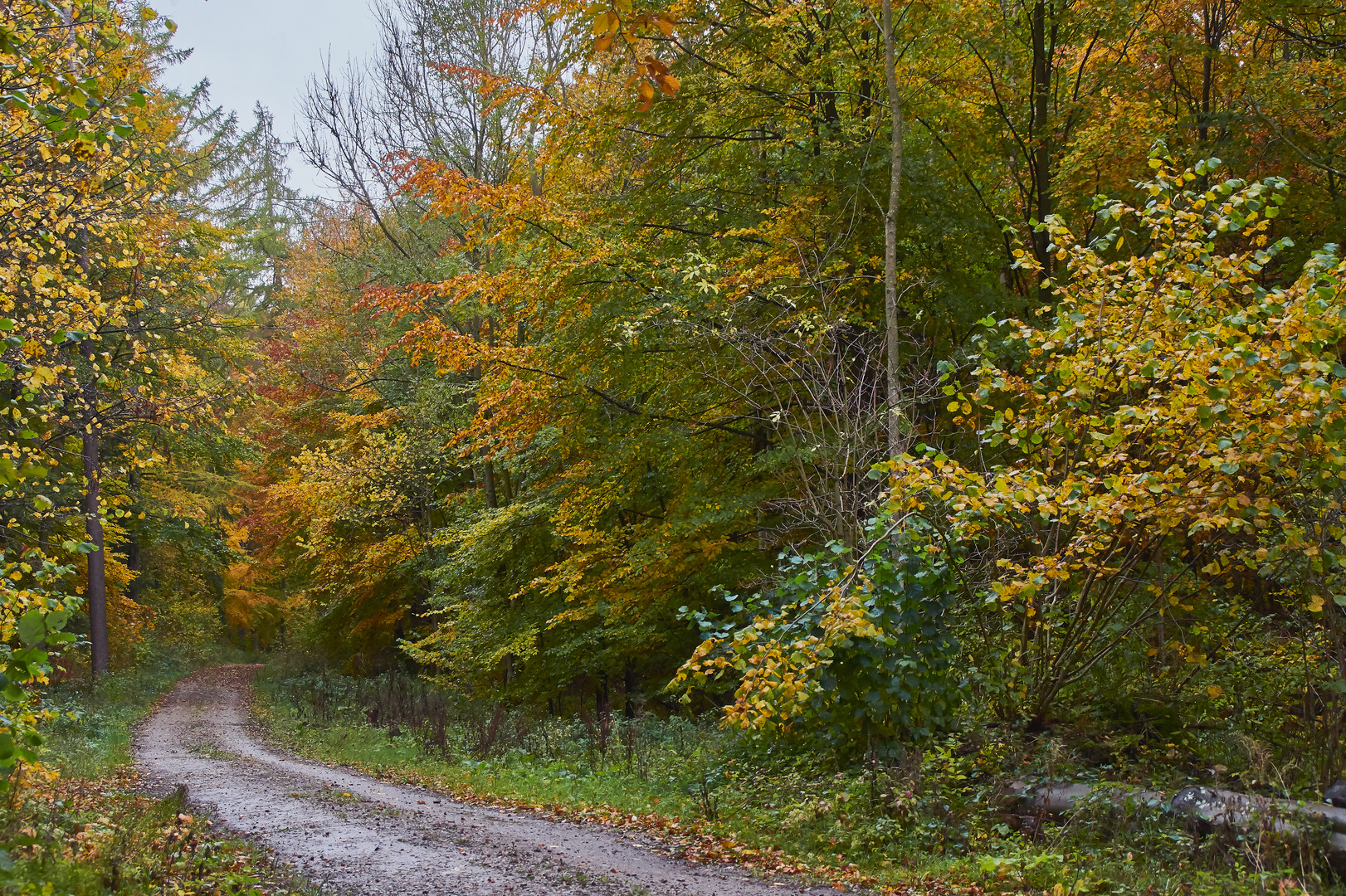 Herbstweg 