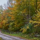 Herbstweg 