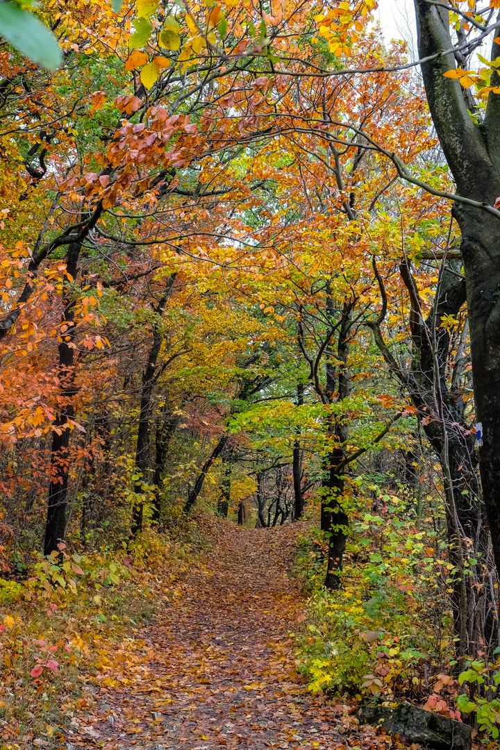 Herbstweg