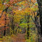 Herbstweg