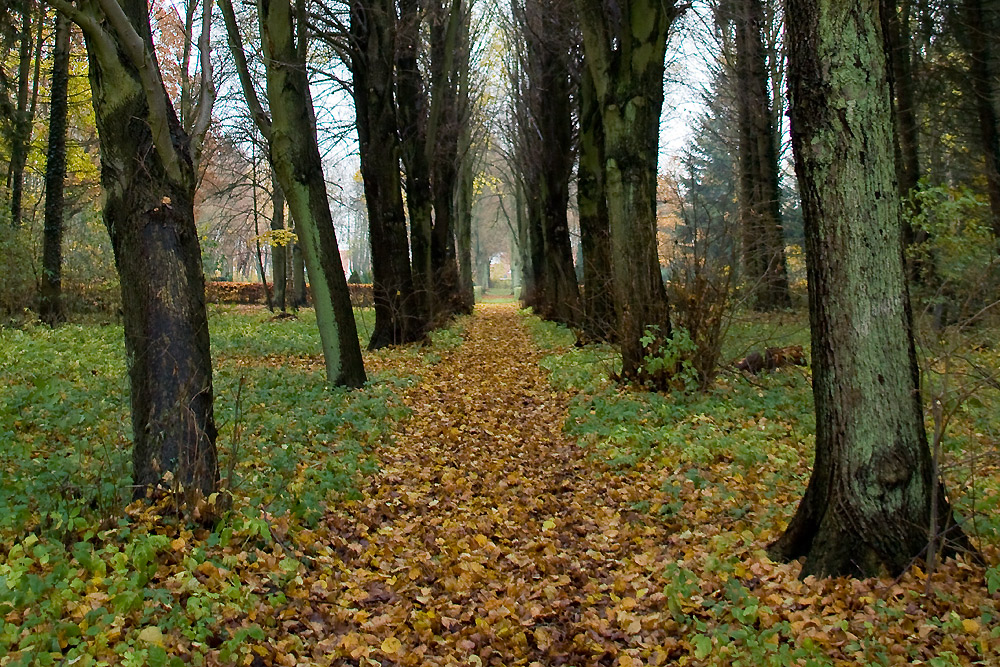 Herbstweg