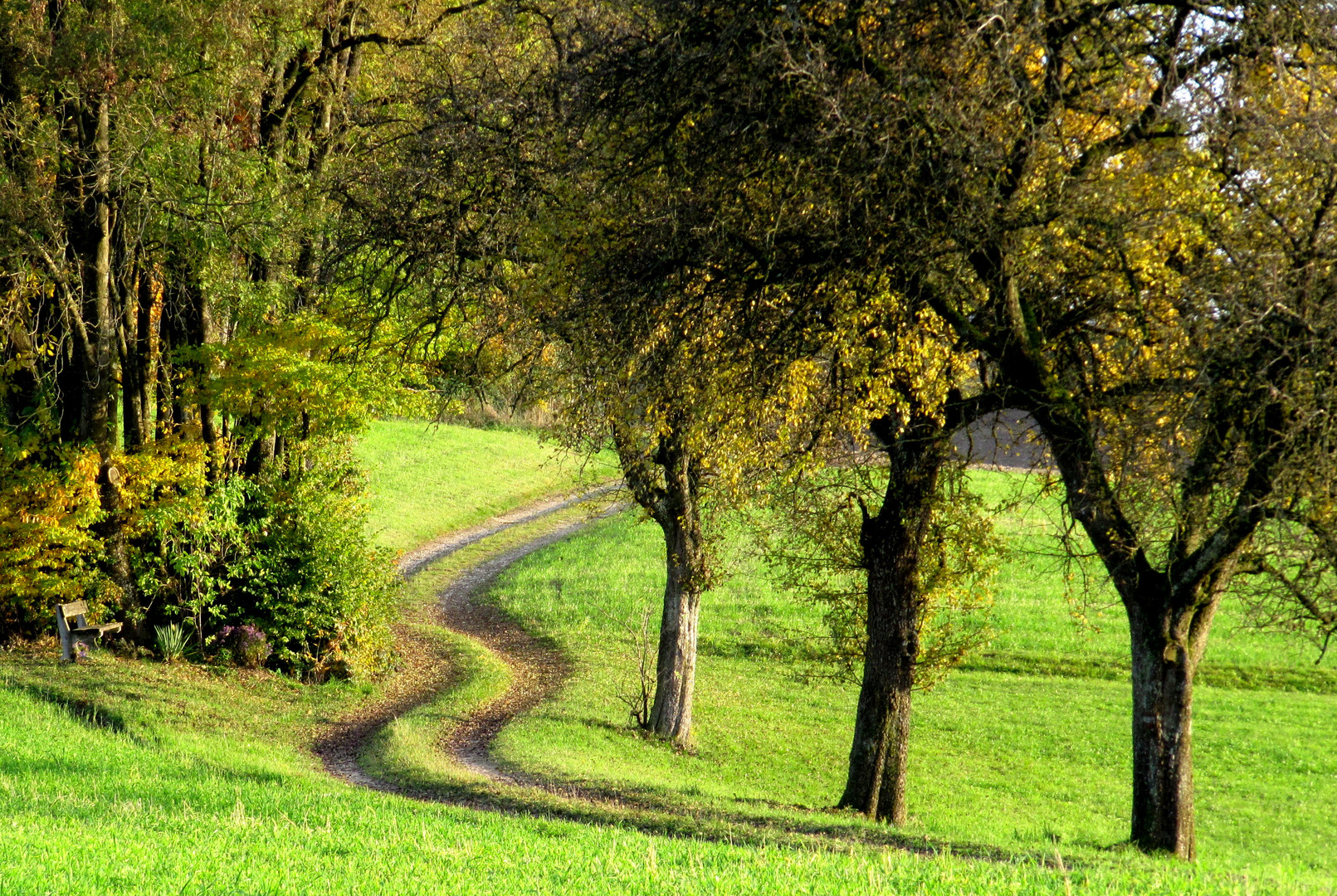 HERBSTWEG