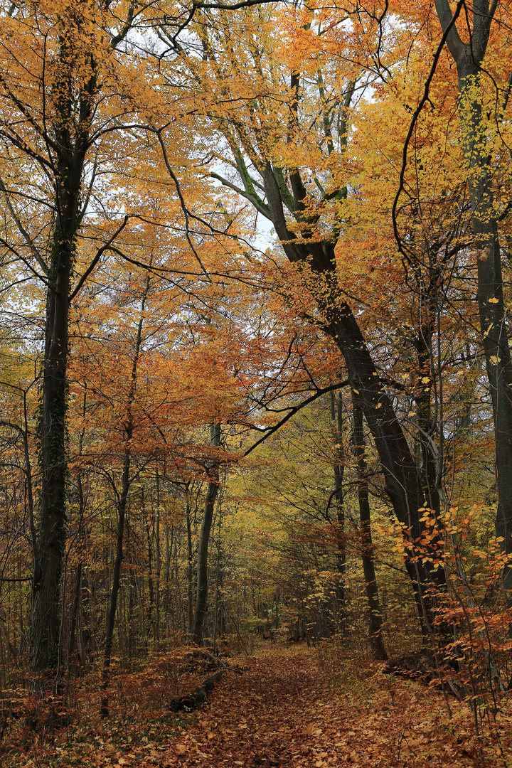 herbstweg