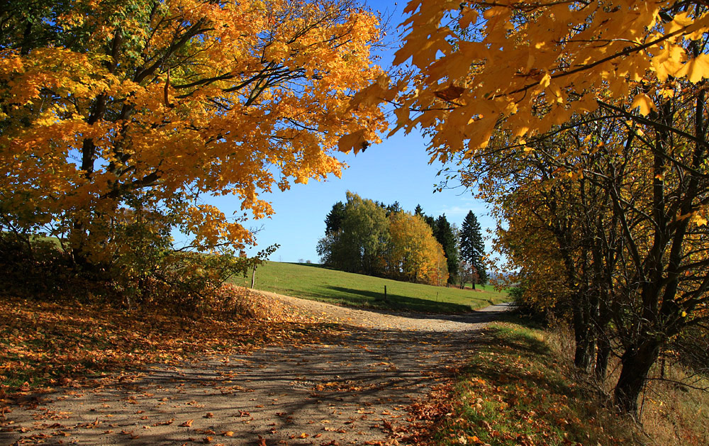 Herbstweg