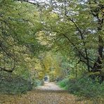 Herbstweg