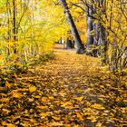 Herbstweg