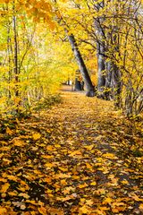 Herbstweg