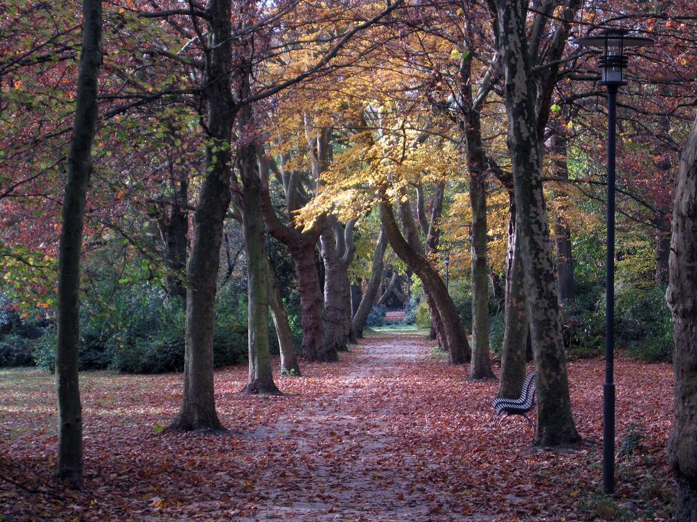 Herbstweg