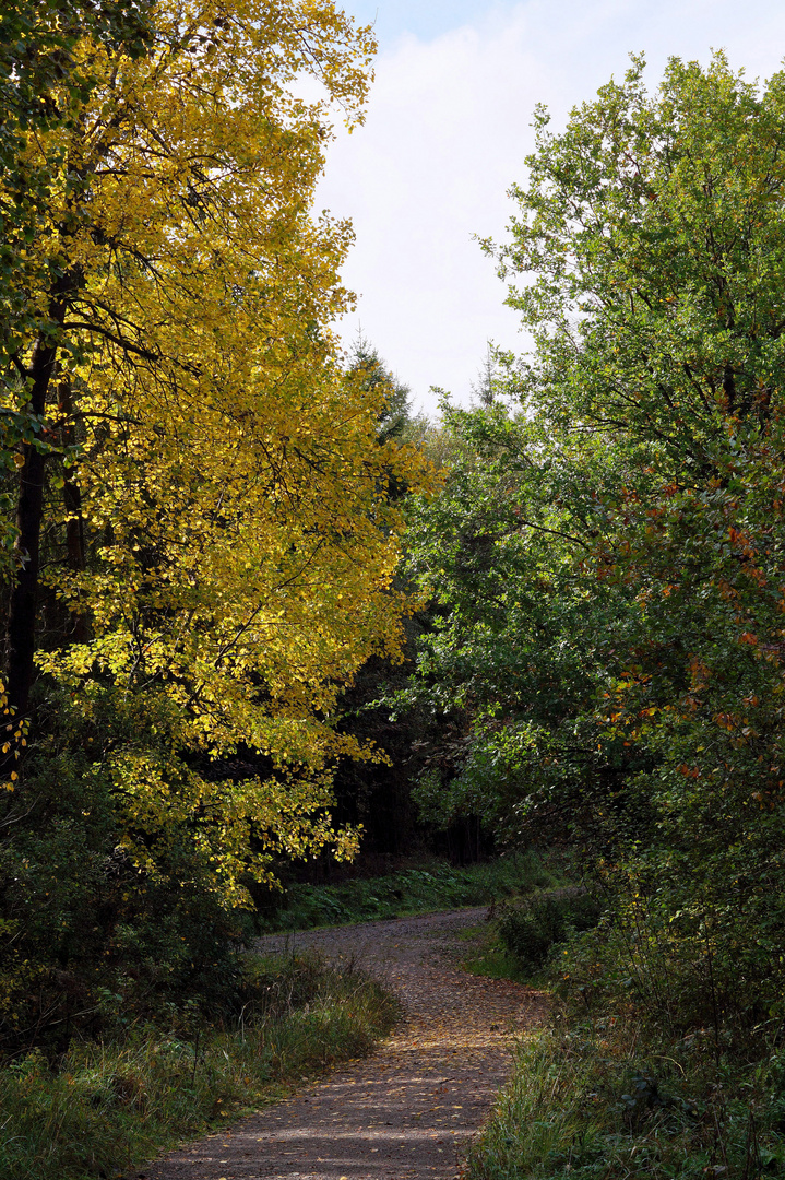 Herbstweg