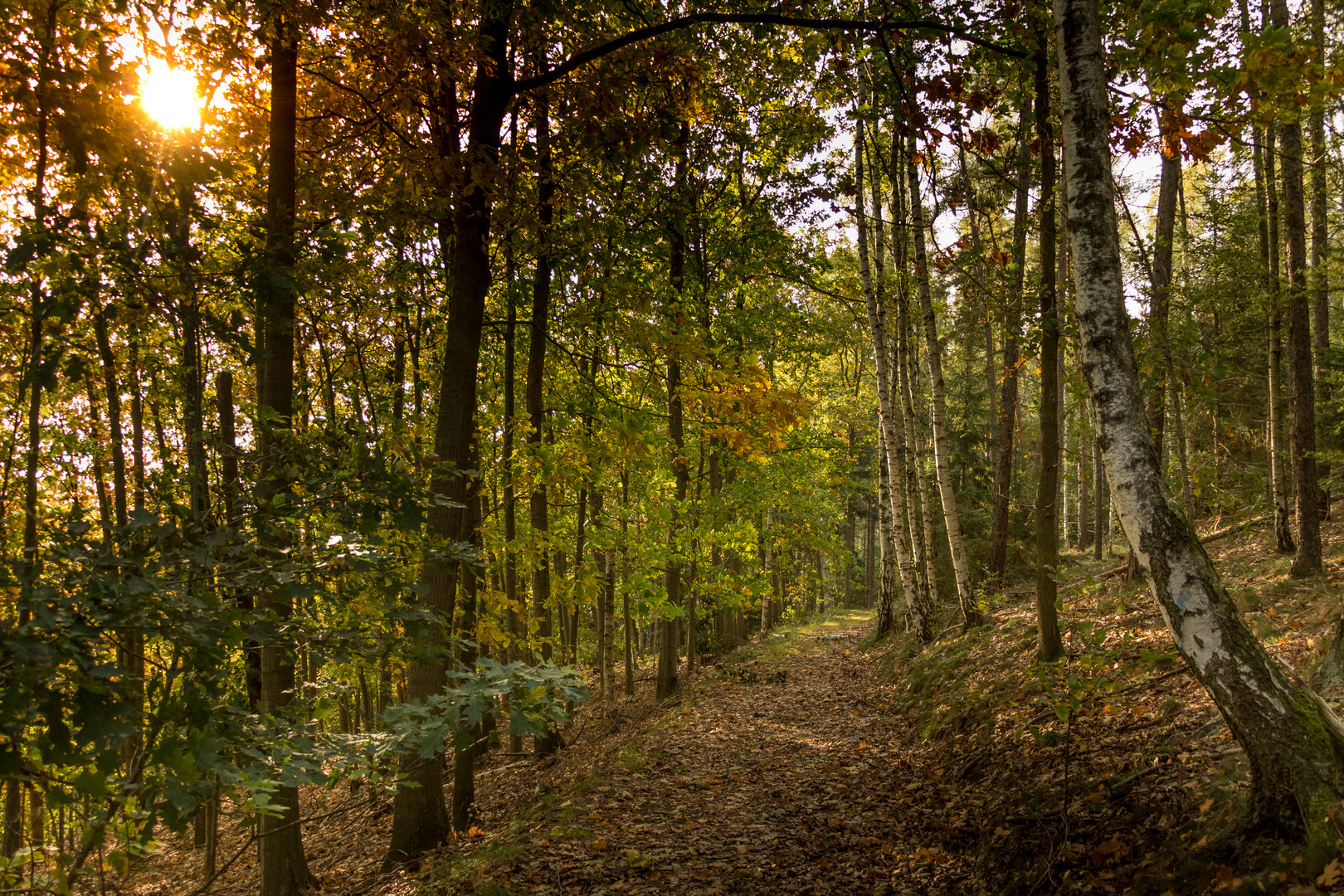 Herbstweg