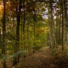 Herbstweg