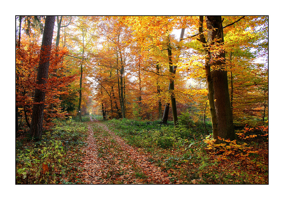 Herbstweg