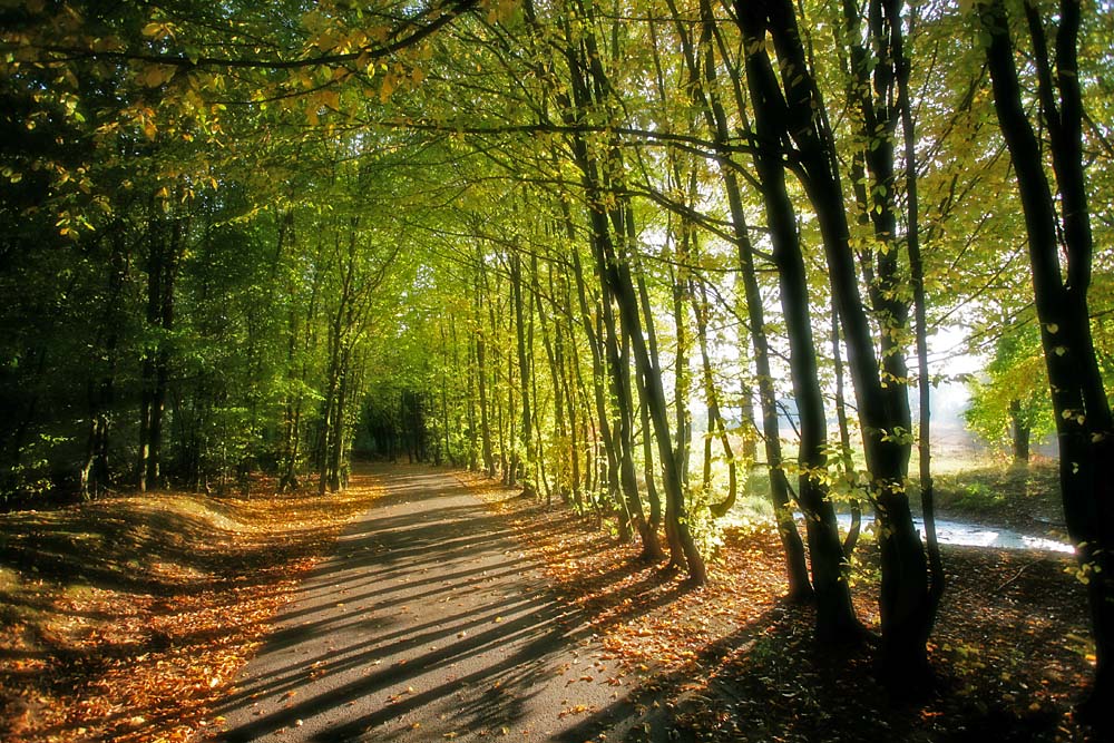 Herbstweg