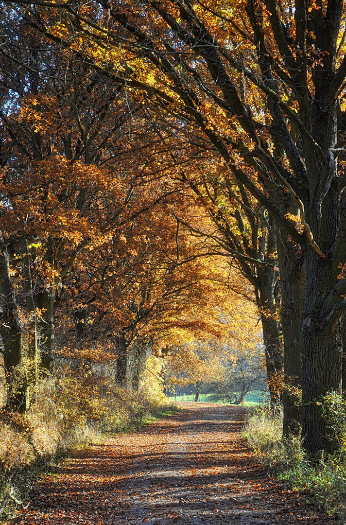 Herbstweg