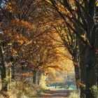 Herbstweg