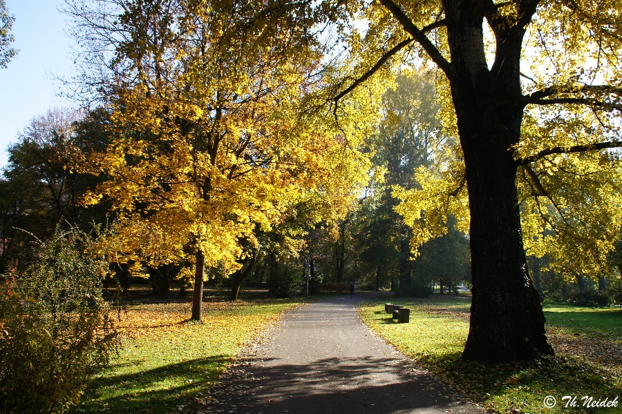 Herbstweg