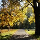 Herbstweg