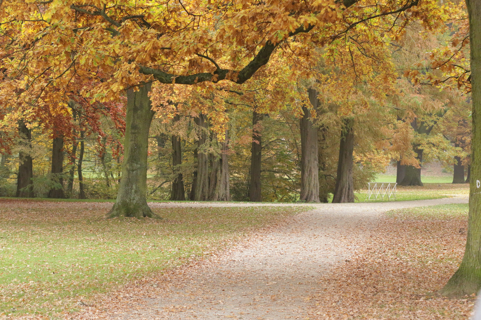 Herbstweg