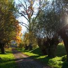 Herbstweg