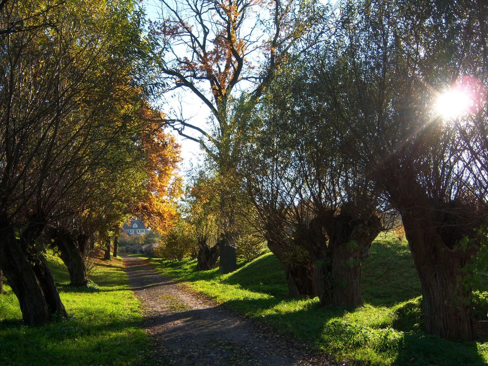 Herbstweg