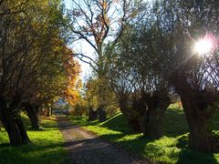 Herbstweg